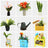 Rolife Wooden Model - DIY Minature House Cathy's Flower House