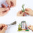 Rolife Wooden Model - DIY Minature House Garden Entrance