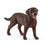 Schleich Farm World - Labrador Retriever female