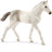 Schleich Horse Club - Holsteiner Foal