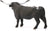 Schleich Farm World - Texas Longhorn Cow