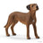 Schleich Farm World - Rhodesian Ridgeback
