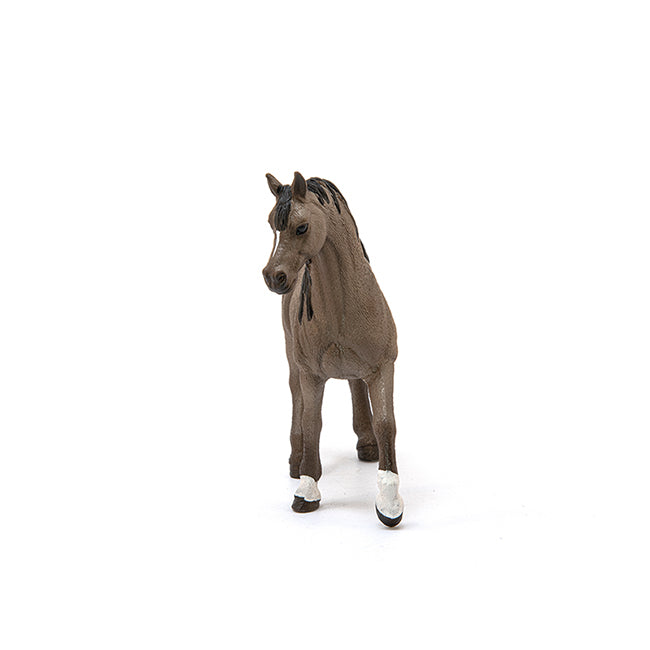 Schleich Horse Club - Arabian Stallion