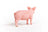 Schleich Farm World - Pig