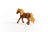 Schleich Horse Club - Icelandic Pony Stallion