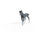 Schleich Horse Club - Trakehner Foal