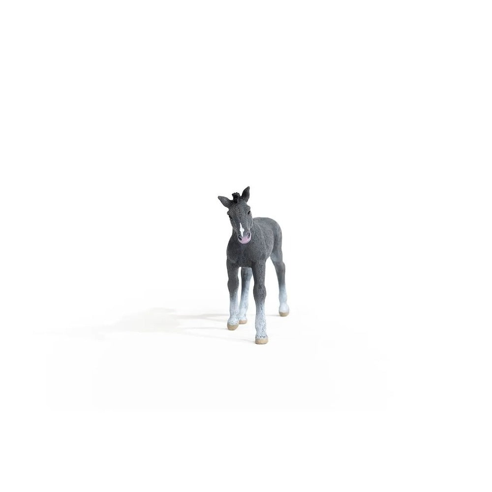 Schleich Horse Club - Trakehner Foal