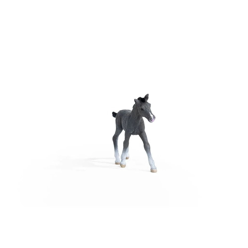 Schleich Horse Club - Trakehner Foal
