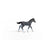 Schleich Horse Club - Trakehner Foal