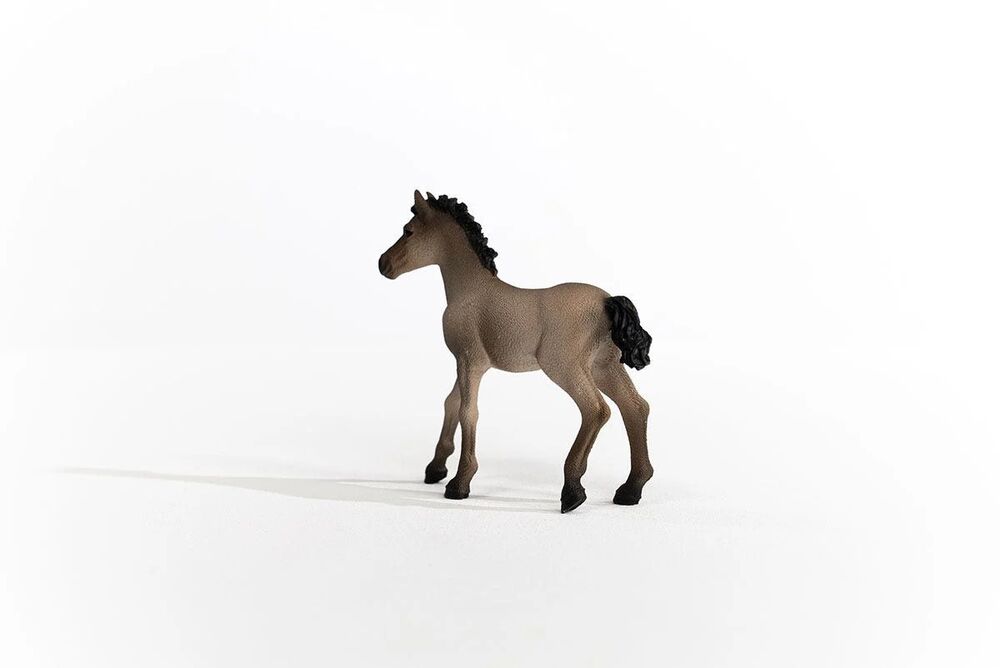 Schleich Horse Club - Criollo Definitivo Foal
