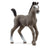 Schleich Horse Club - Selle Français Foal