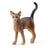Schleich Farm World - Abyssinian Cat