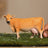 Schleich Farm World - Jersey Cow