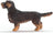 Schleich Farm World - Wire-Haired Dachshund
