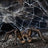 Schleich Wizarding World of Harry Potter - Aragog
