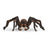 Schleich Wizarding World of Harry Potter - Aragog