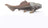 Schleich Dinosaurs - Dunkleosteus