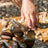 Schleich Wild Life - Crocodile