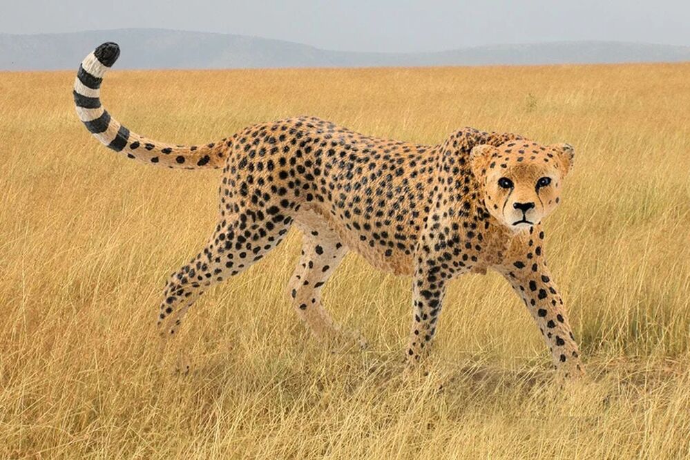 Schleich Wild Life - Cheetah female