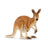 Schleich Wild Life - Kangaroo