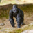 Schleich Wild Life - Gorilla Male