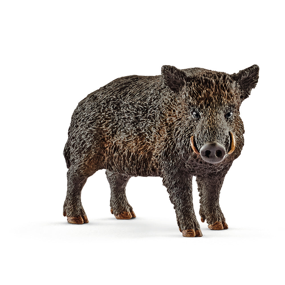 Schleich Wild Life - Wild boar