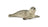 Schleich Wild Life - Seal Cub