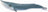 Schleich Wild Life - Blue Whale