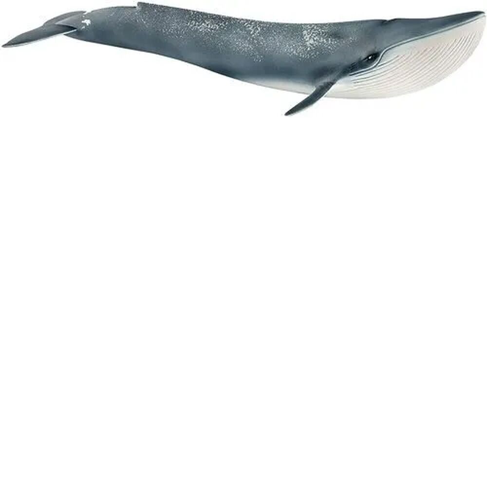 Schleich Wild Life - Blue Whale