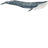 Schleich Wild Life - Blue Whale