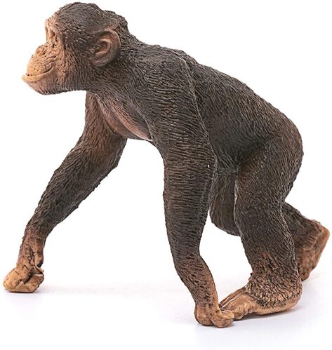 Schleich Wild Life - Chimpanzee Male