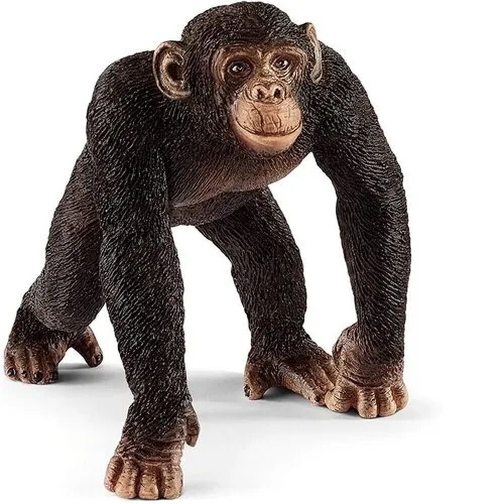 Schleich Wild Life - Chimpanzee Male