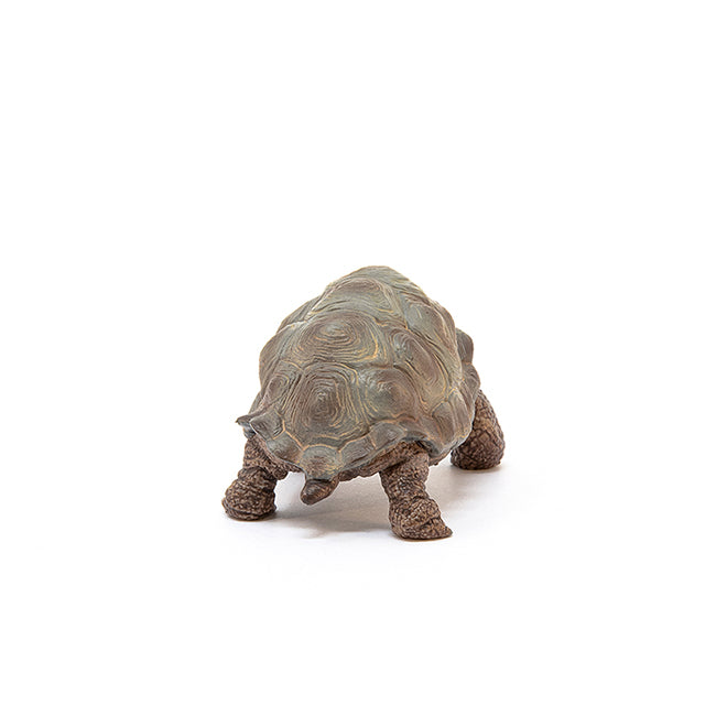 Schleich Wild Life - Giant Tortoise