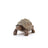 Schleich Wild Life - Giant Tortoise