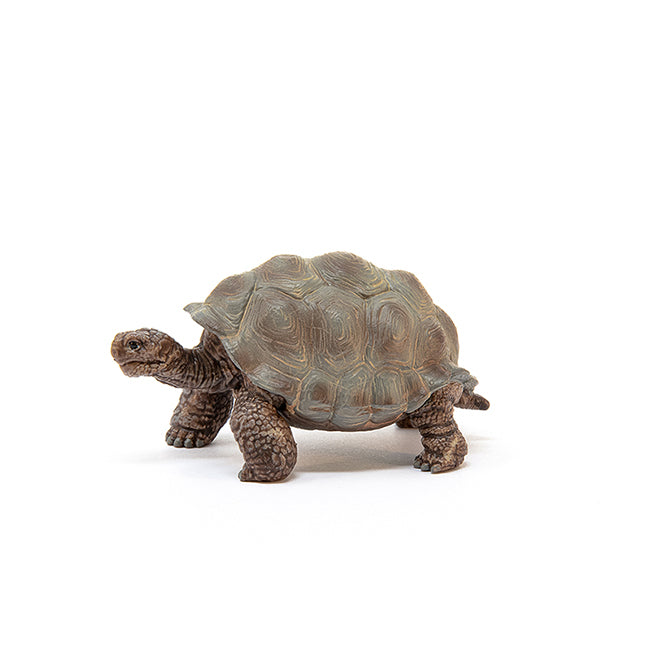 Schleich Wild Life - Giant Tortoise
