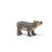 Schleich Wild Life - Baby Hippopotamus