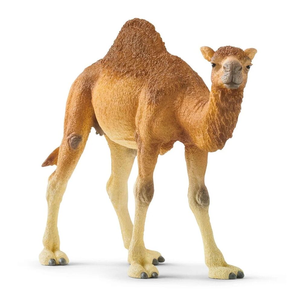 Schleich Wild Life - Dromedary