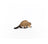 Schleich Wild Life - Beaver