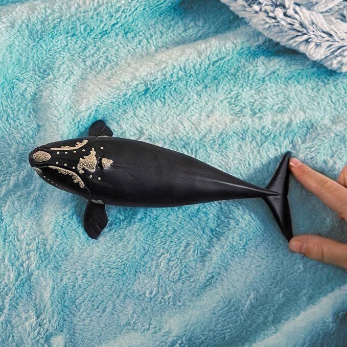 Schleich Wild Life - North Atlantic Right Whale