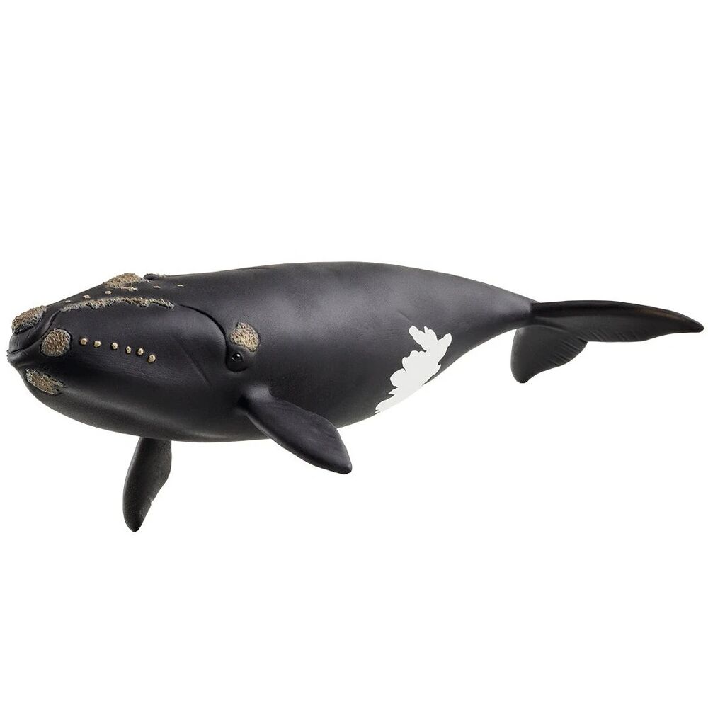 Schleich Wild Life - North Atlantic Right Whale