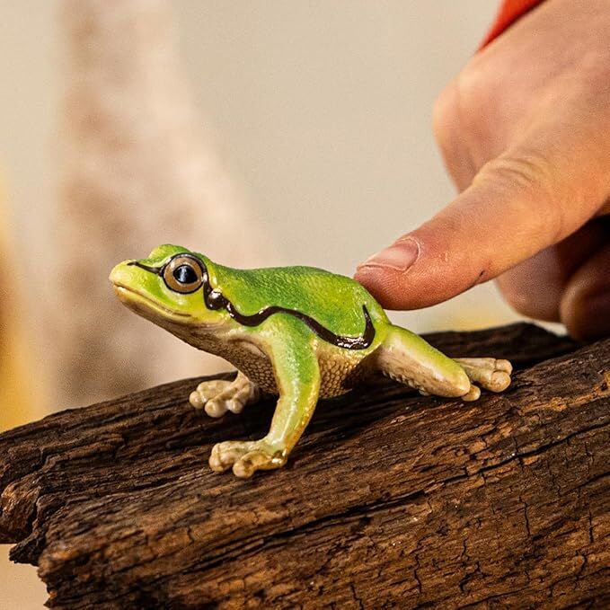 Schleich Wild Life - European Tree Frog