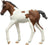 Schleich Horse Club - Paint Horse Foal