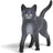 Schleich - Karajan the Cat