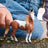 Schleich Horse Club - Mustang Mare