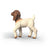 Schleich Farm World - Boer Goat Kid
