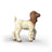 Schleich Farm World - Boer Goat Kid