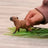Schleich - Capybara