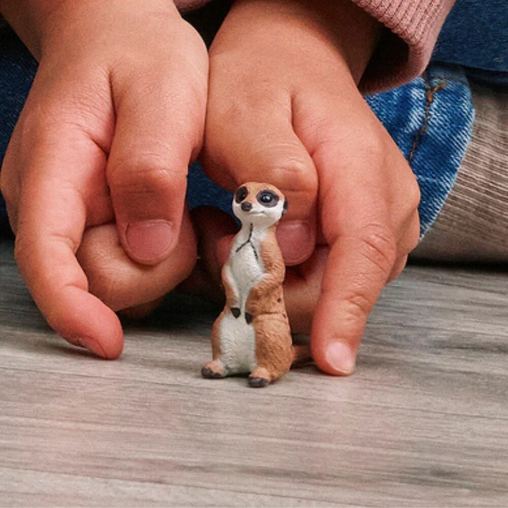 Schleich Wild Life - Meerkat