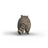 Schleich Wild Life - Racoon