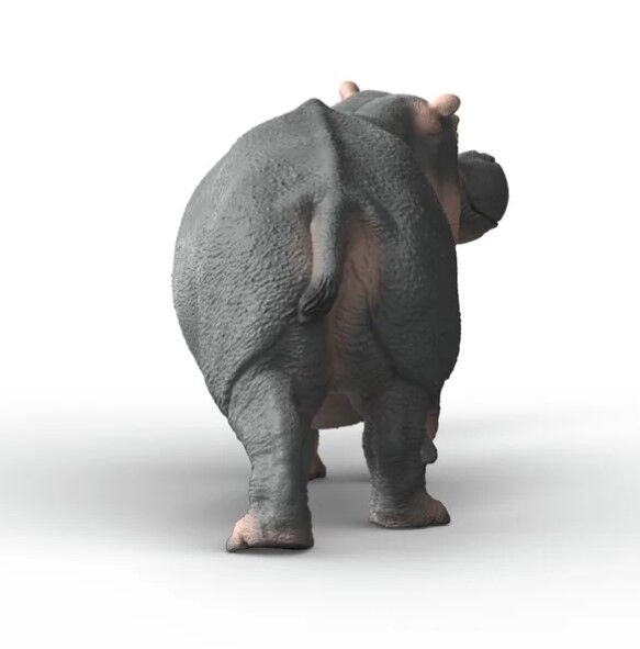 Schleich Wild Life - Hippopotamus
